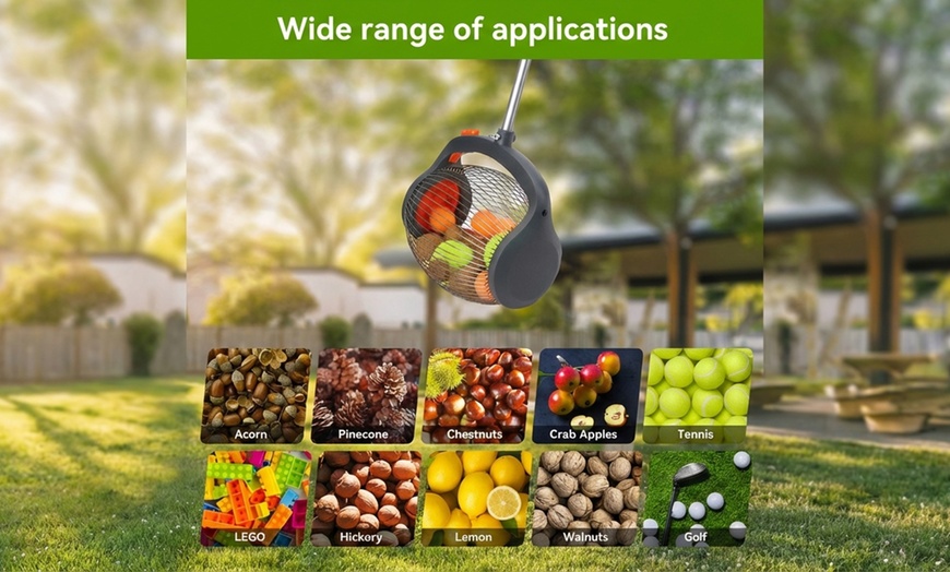 Image 6: Rullo raccogli frutta con asta telescopica Boudech