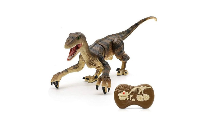 Image 5: 1 ou 2 jouets dinosaure vélociraptor télécommandés avec lumière et son