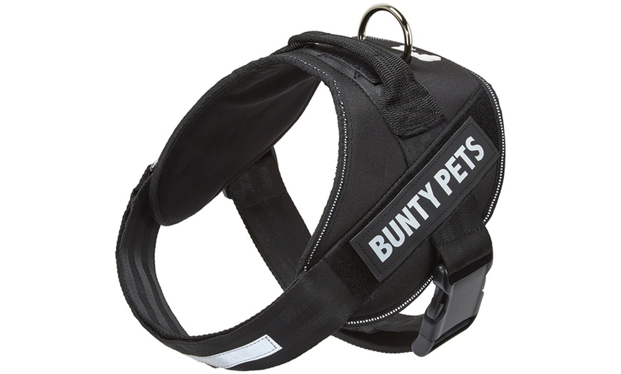 Image 2: Bunty Yukon Pet Harness