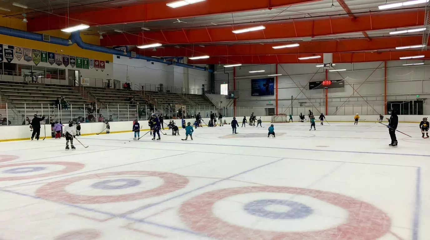 Skate for All Ages: Admission & Rentals Included