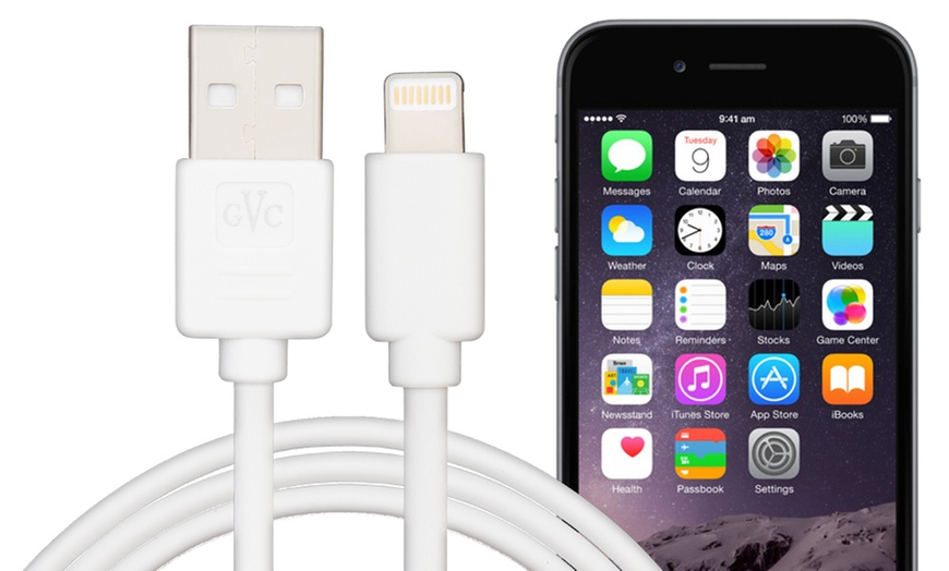 Image 12: 1, 2 ou 3 cables pour iPhone