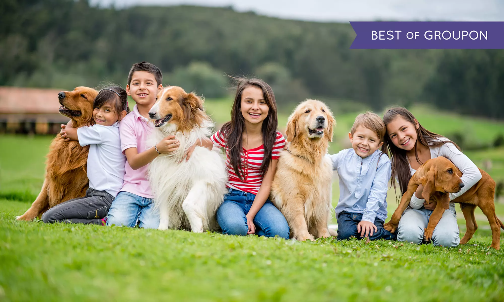 eKurs: Behawiorystyka psa