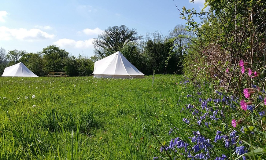 Image 4: 2- to 4-Night Camping in Pembrokeshire 