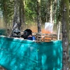 Image 10: Half-Day Paintball- Groups of 5, 10, or 15 with 100 Paintballs Each!