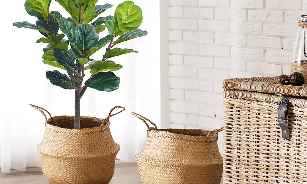 Collezione di piante finte da interno