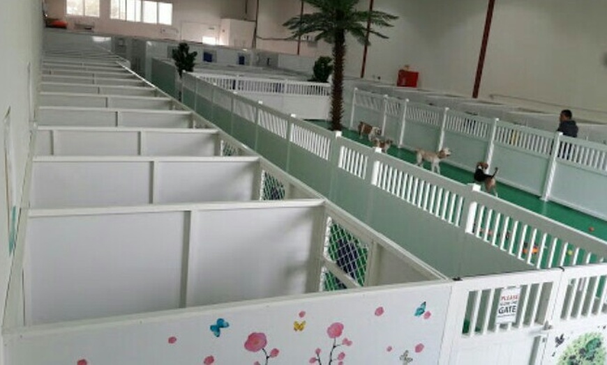 Image 12: Pet Boarding at PoshPaws Kennels and Cattery