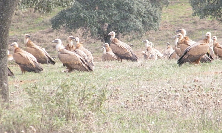 Image 23: Hasta 56% de dto. en CENTRO ANDALUZ DE LA FAUNA SALVAJE