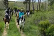 Disfruta un paseo a caballo de una hora en Centro Hípico El Linar Del Cabo con hasta un 30% de descuento - Second Medium