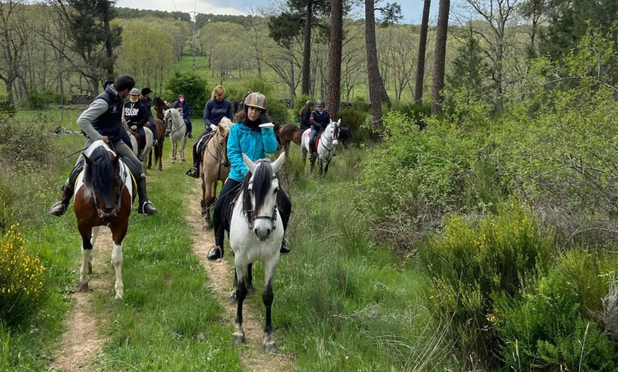 Image 4: Disfruta de un paseo a caballo de una hora para hasta 4 personas