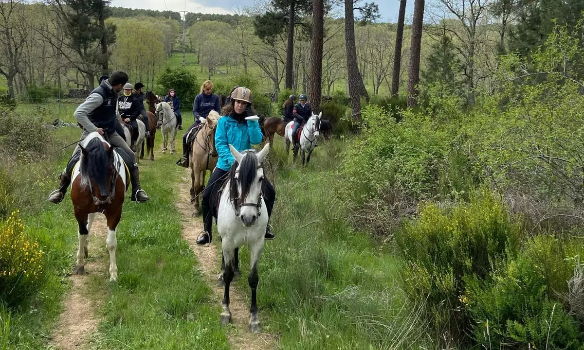 Disfruta de un paseo a caballo de una hora para hasta 4 personas