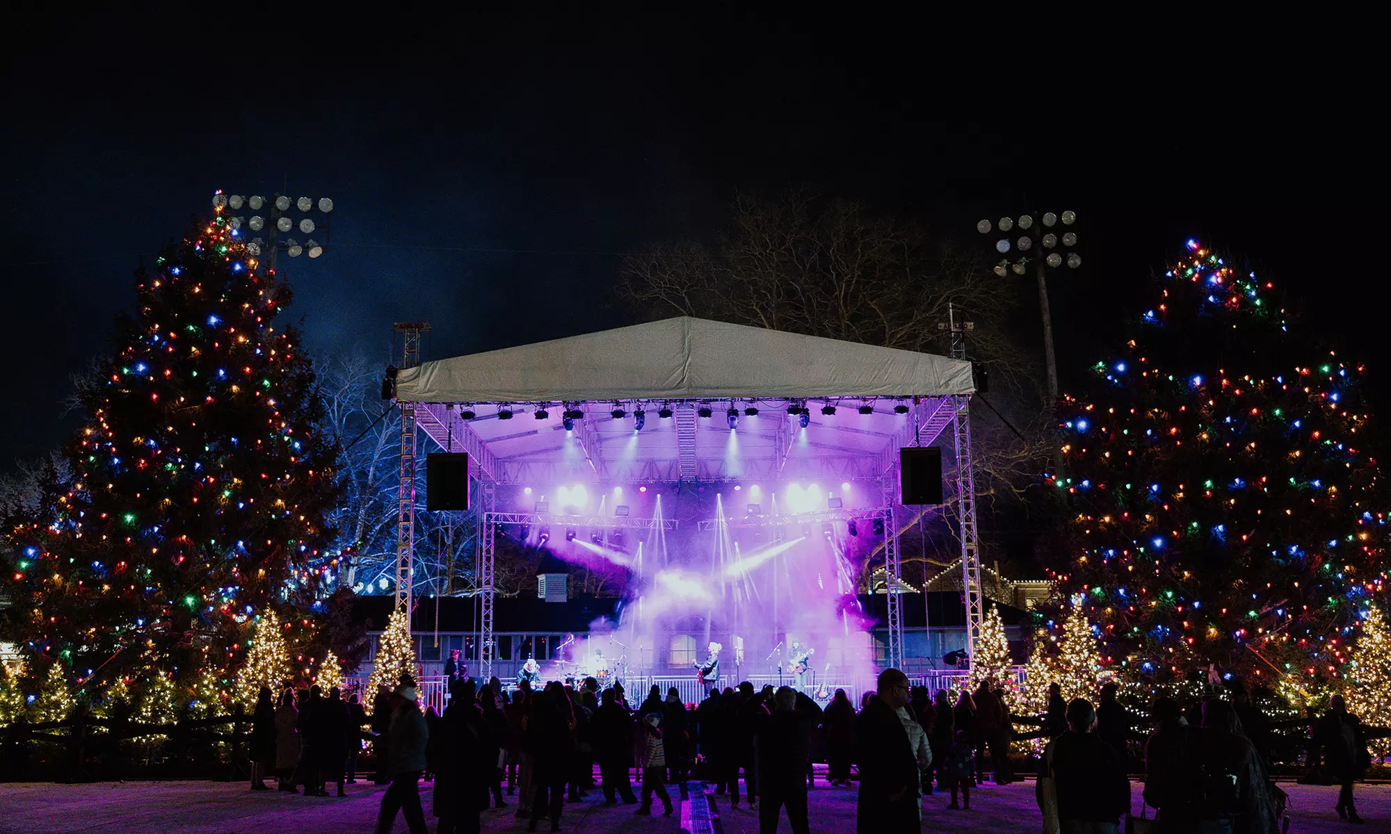Yuletide Devon 29th, 30th or 31st  Admission - Adult and Junior Tickets at Yultide Devon (Up To 24% Off) - Primary Image