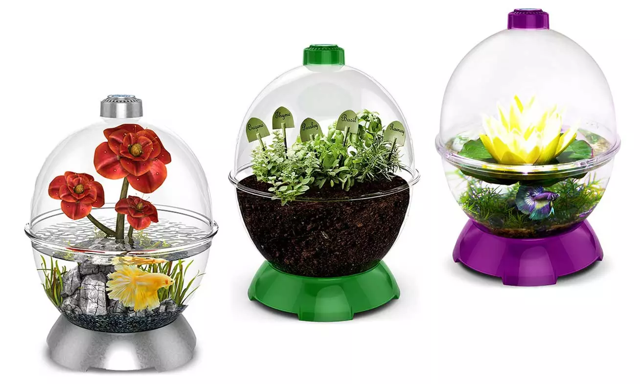 WonderBubble - Primary Image