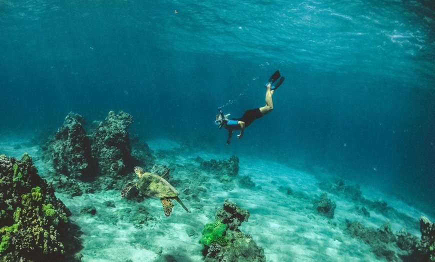 Image 4: Bautismo de buceo desde embarcación