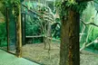 Up to 14% Off on Zoo / Animal Park at Get To Know Animals - Image 4
