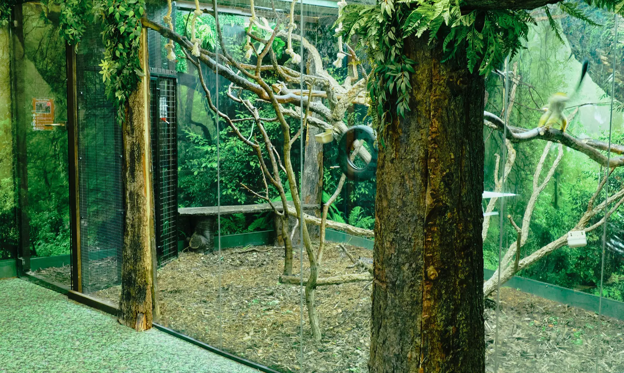 Up to 14% Off on Zoo / Animal Park at Get To Know Animals