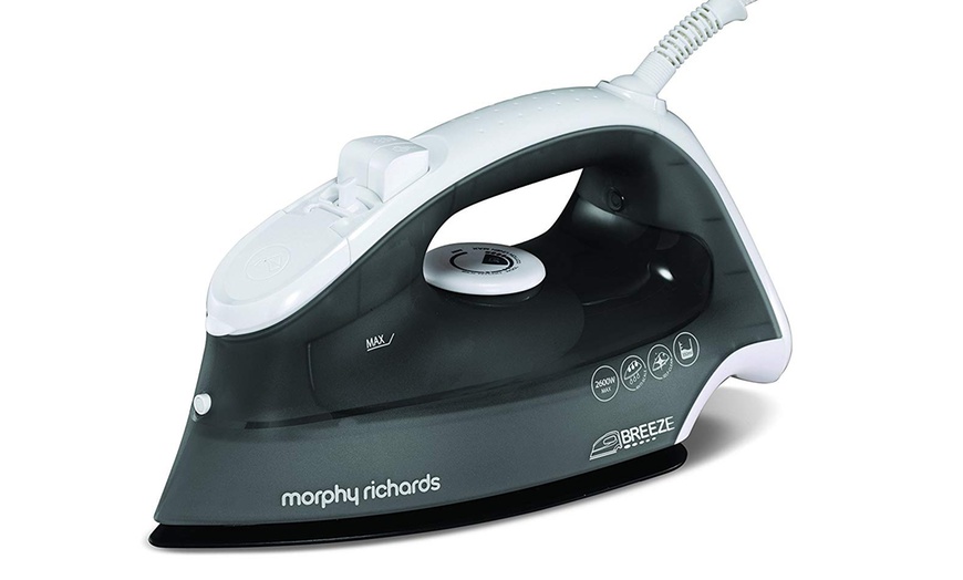 Image 1: Morphy Richards Steam Iron
