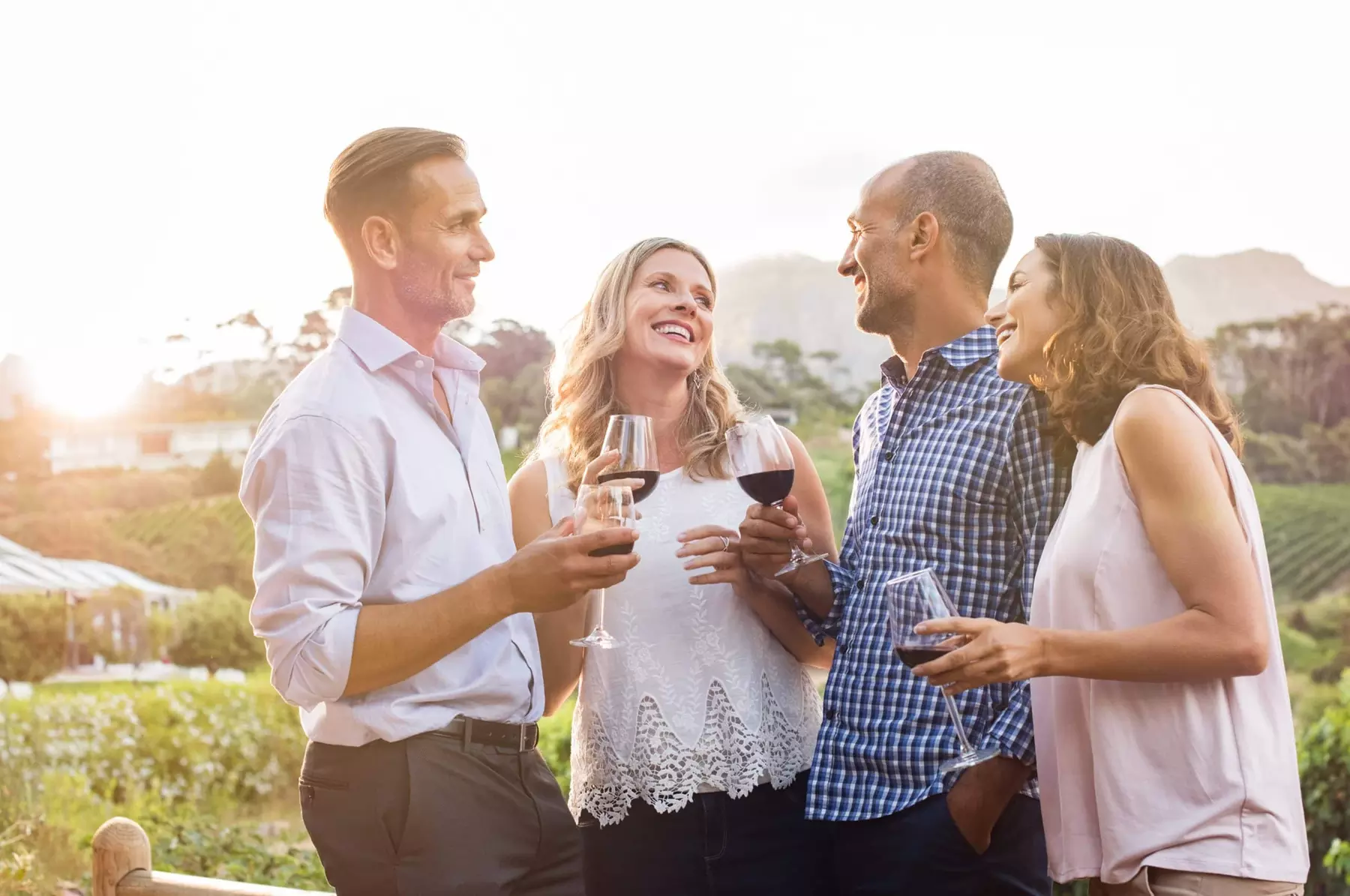 Up to 33% Off Guided Wine Tasting and Vineyard Tour