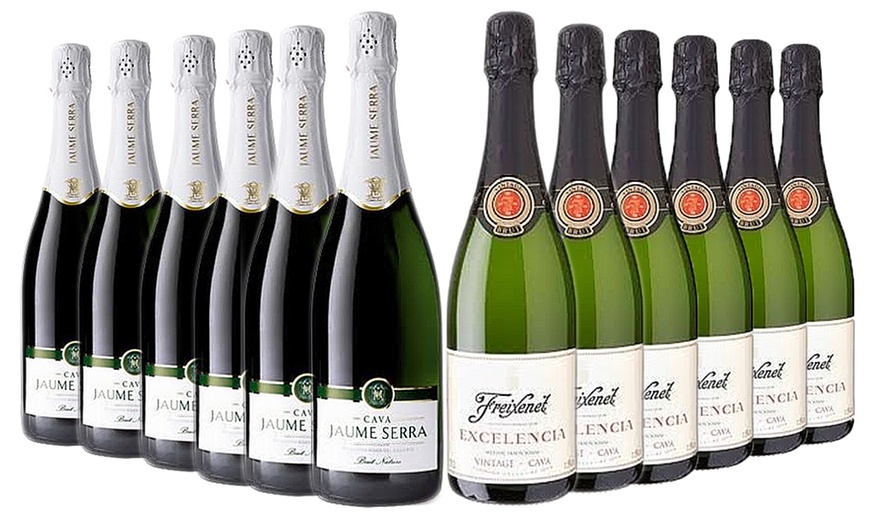 Image 1: 12 bottles of Cava Brut Wine