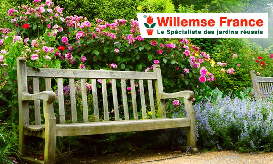 Image 5: Willemse : balcons et jardins fleuris