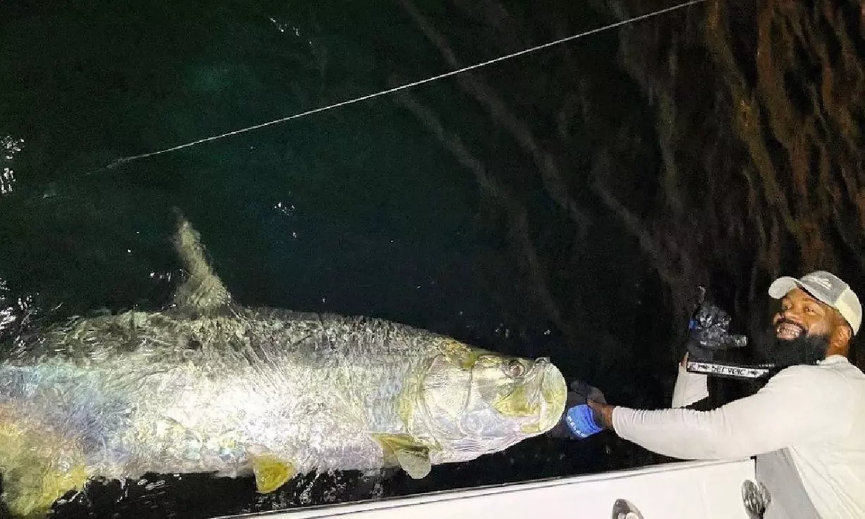 4 Hour Night Fishing Adventure for Up to two People at Keys Charter Adventures (Up to 39% Off) - Primary Image