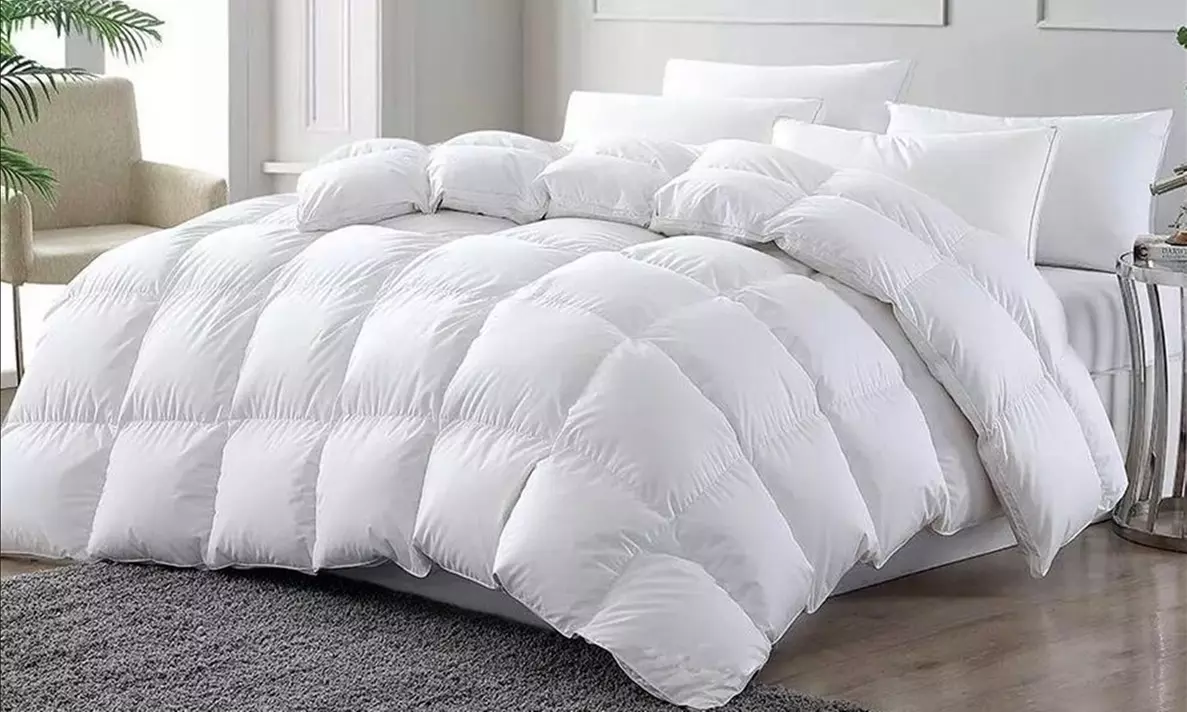 Luxe ganzendons dekbedden