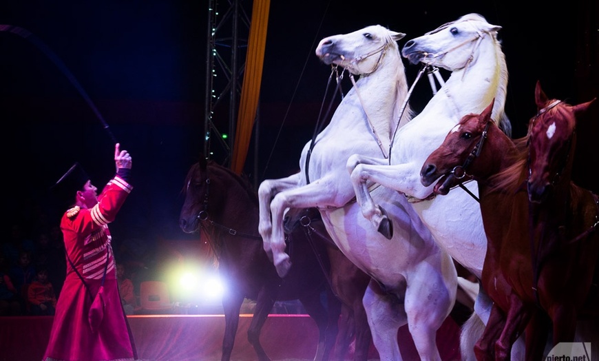 Image 2: Le Grand Cirque de Noël à Metz
