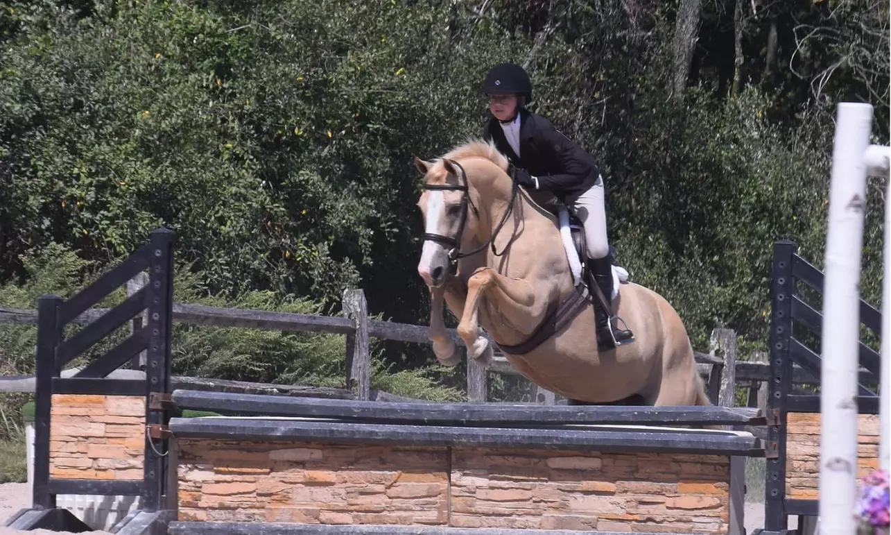 Up to 20% Off on Horse Back Riding - Training at Plainbrooke Farm - Primary Image
