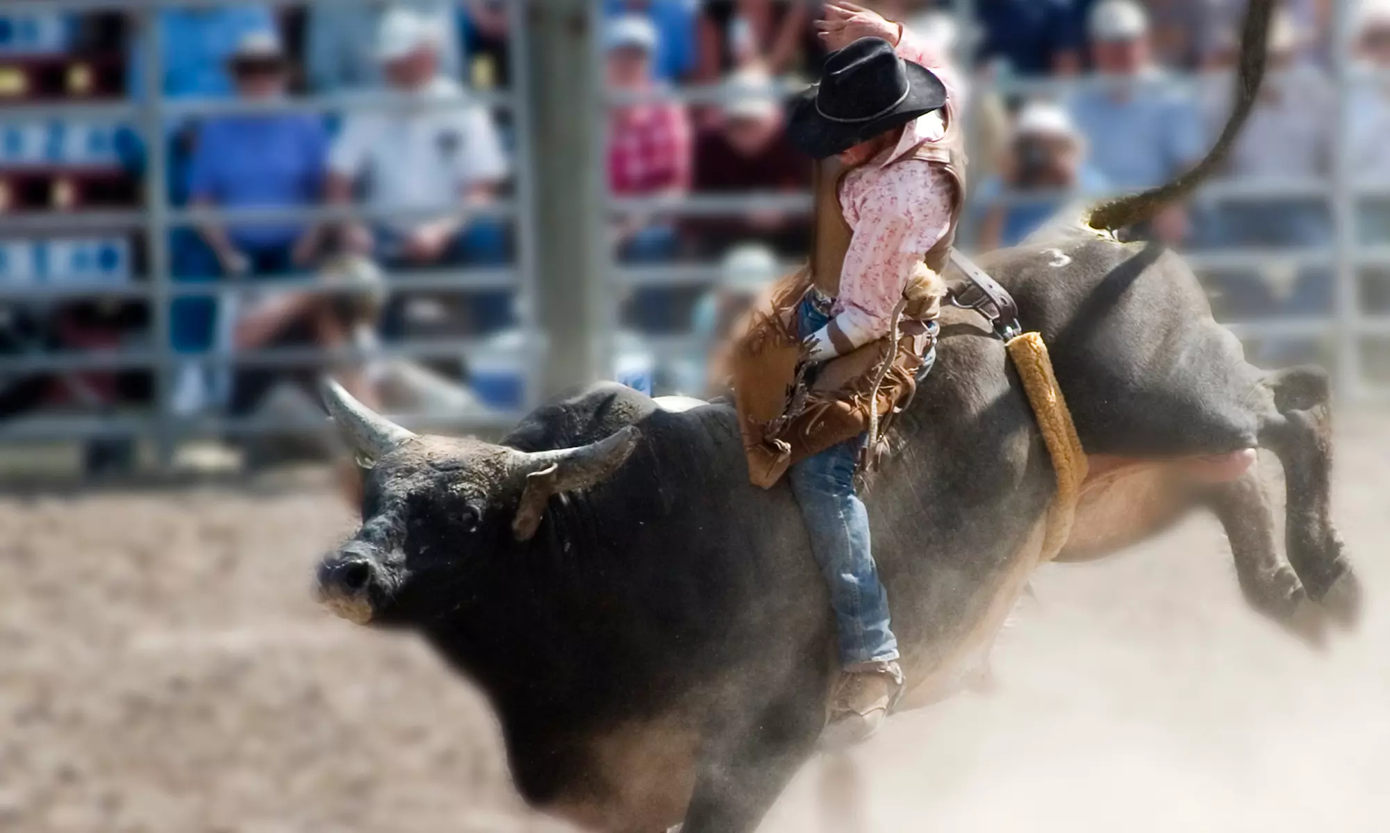 Orange Blossom Festival Rodeo on Sunday, February 27 at 2 p.m. - Primary Image