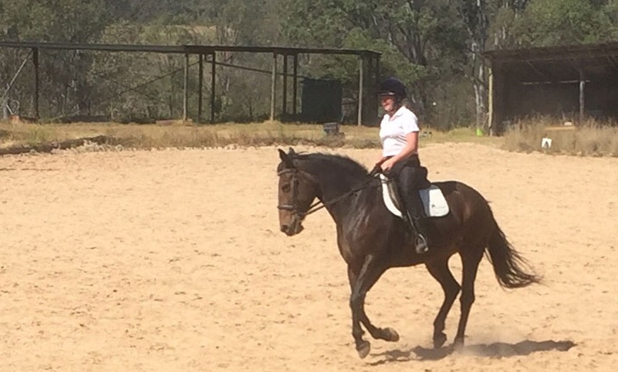 Image 1: Grooming & Horse Riding Session