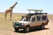 Kenya Safari with Optional Zanzibar Trip. Price is per Person, Based on Two Guests per Room. Buy One Voucher per Person. - Second Medium