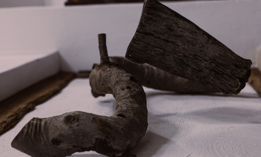 Image 21: Zimbabwe: 7-Night Yoga & Safari Retreat