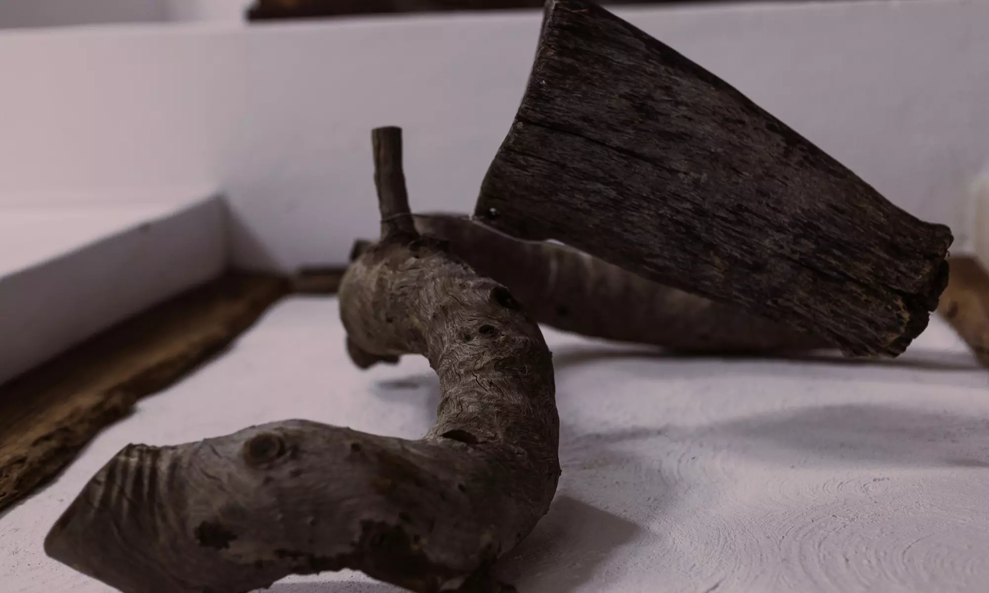 Zimbabwe: 7-Night Yoga & Safari Retreat