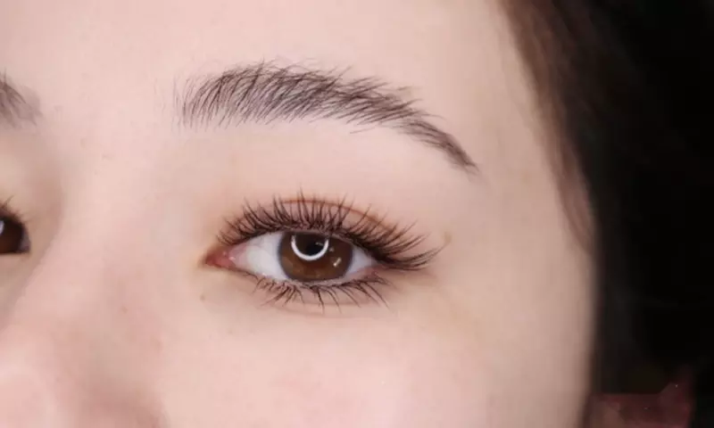 Classic Natural Set of Eyelash Extensions - 50 Lashes Per Eye at Melb Art Beauty (Up to 25% Off)