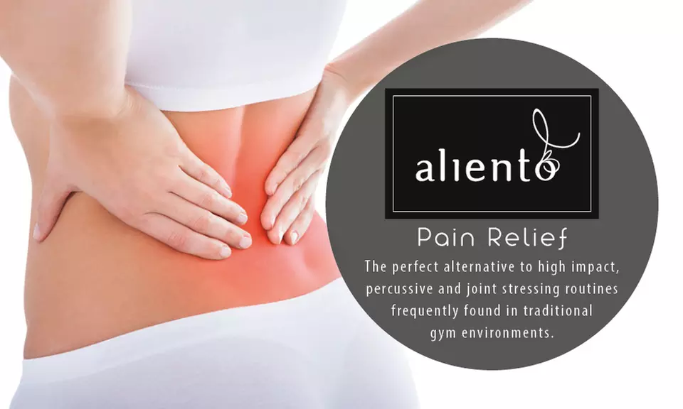 Tone and Strengthen: Transform w/ Shapemaster Pilates Training Today!