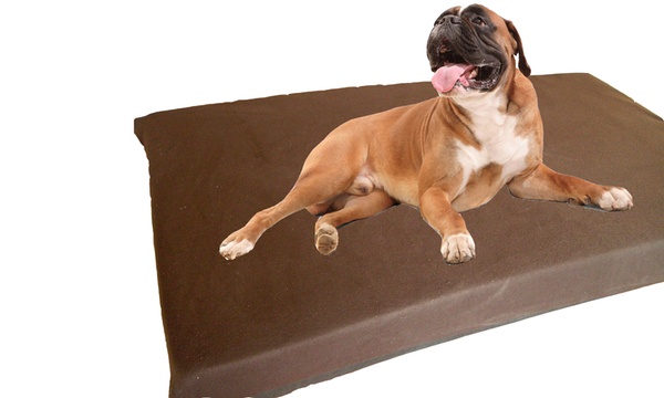 Kosipet sales dog bed