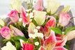 50% Off Fresh Flowers Delivery from iFlorist - Second Medium