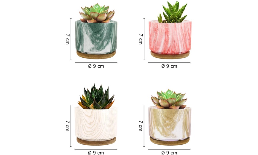 Image 25: Lot de 3 pots de fleurs en céramique pour succulentes