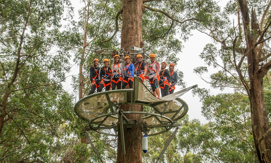 Image 2: Illawarra Fly Zipline Experience