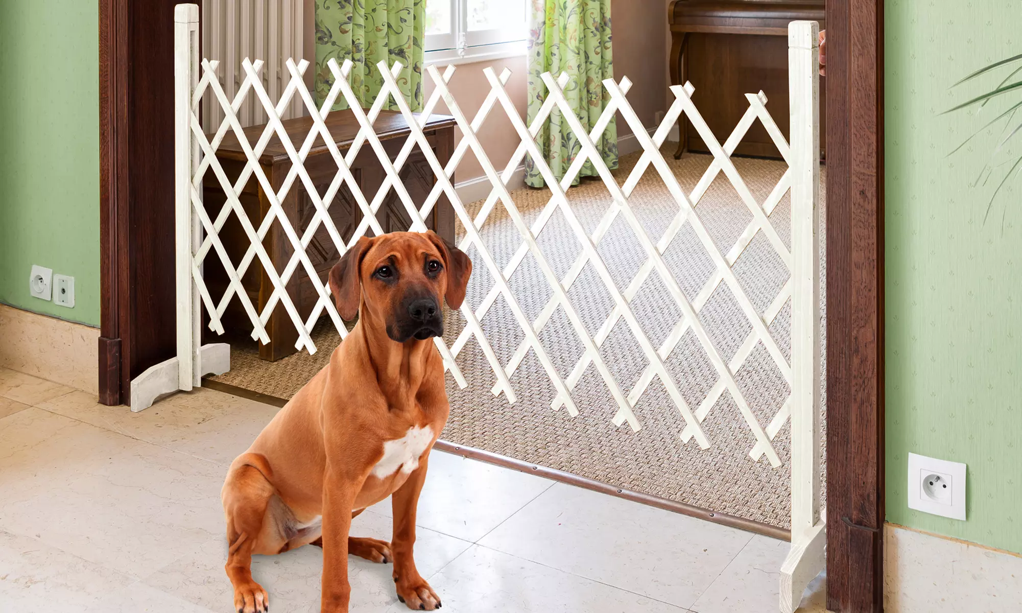 Barrière extensible pour animaux - Primary Image