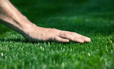 $25 for a Full Weed-Control Treatment from Weed Man Lawn Care (Up to $50 Value) - Primary Image
