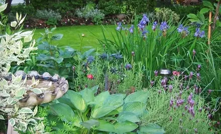 Eco-friendly Lawn-Care Services from The Garden Company. Two Options Available. - Primary Image