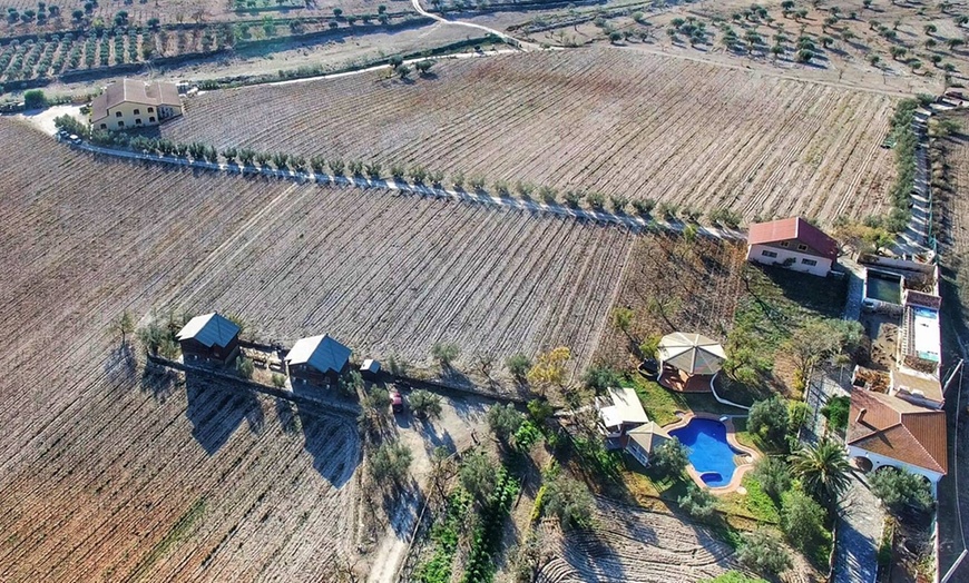 Image 3: Visita a bodega con cata de vino