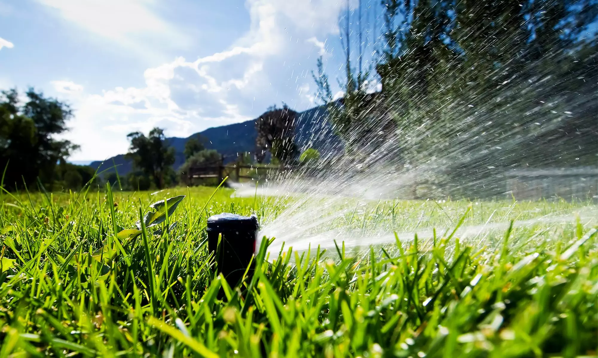 $49 for $100 voucher — Sprinkler King - Primary Image