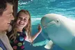 BLACK FRIDAY SALE! Save Big on SeaWorld San Diego Tickets, Fun Cards & Meal Deals! 62% Off - Second Medium