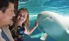 Summer Sale! Save Big on SeaWorld San Diego Tickets, Fun Cards & Meal Deals! 67% Off