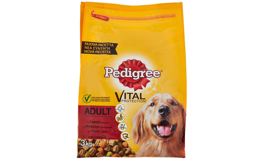 Image 3: Cibo Secco 3 kg Pedigree