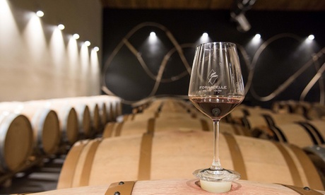 Visita alla cantina con degustazione di vino e tagliere presso l'Azienda Agricola Fornacelle (sconto fino a 68%)