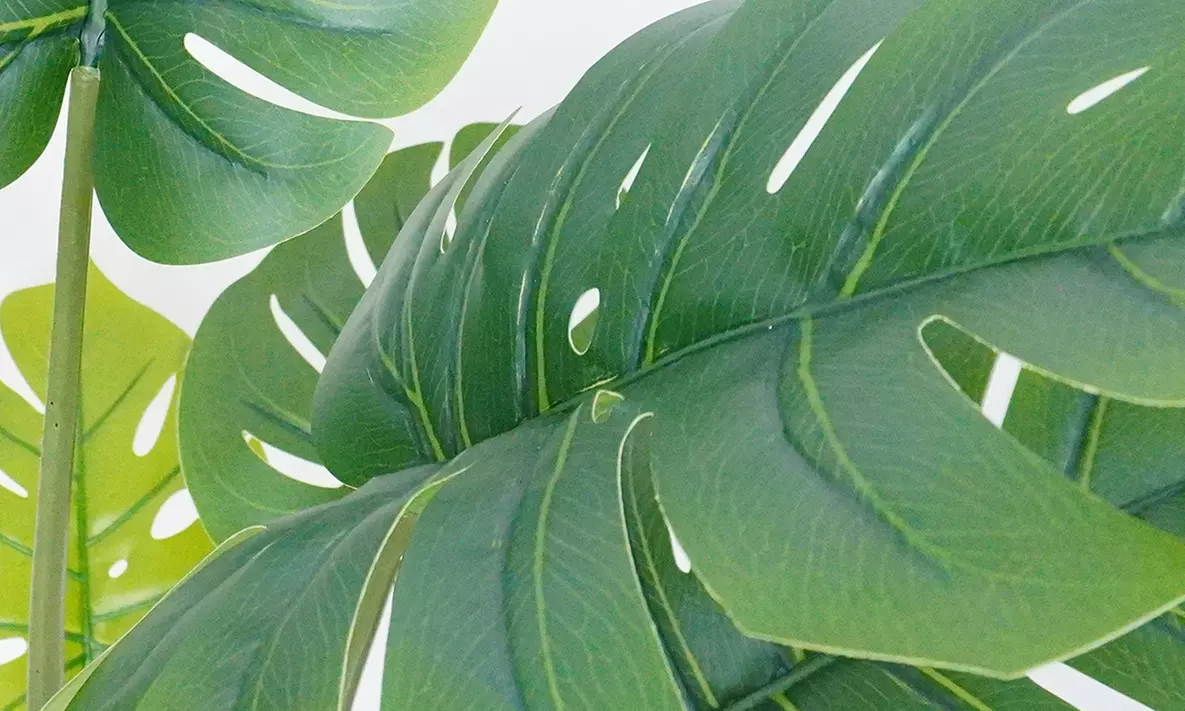 Collezione di piante finte da interno