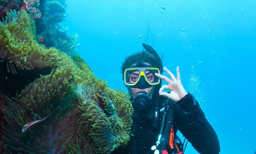 Image 1: Open Water Scuba Diver course at Goblin Diving Center