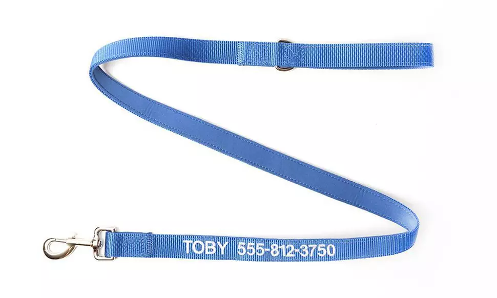 Personalized Dog Leashes From Qualtry (Up to 62% Off). Five Options Available.  - Primary Image